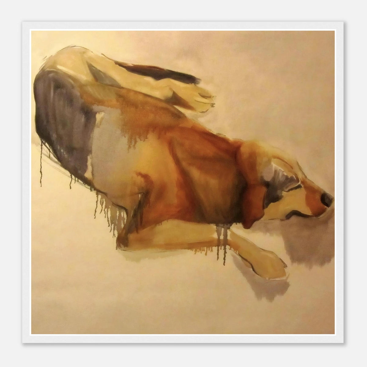 "Watercolor Rest" — a street dog of Granada, Nicaragua painted by Peta Kaplan, framed art print